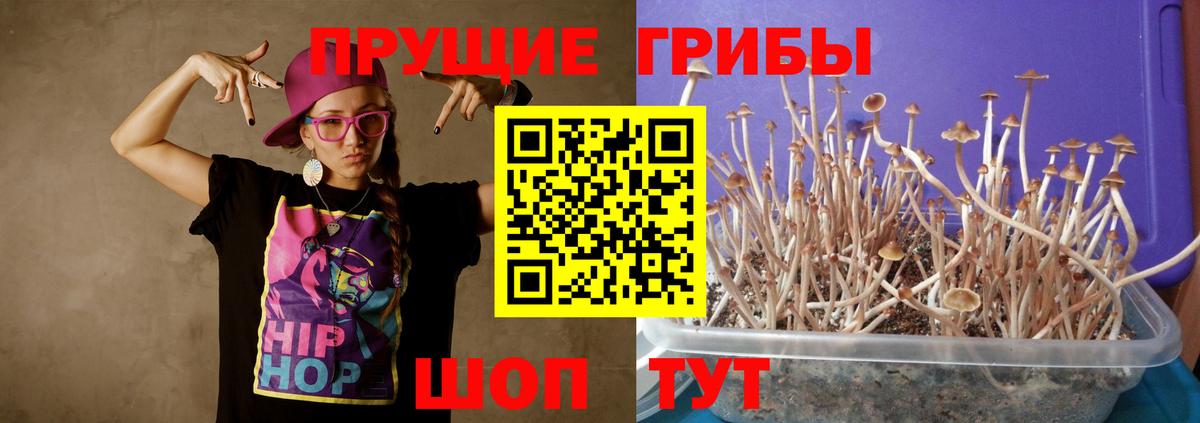 Галлюциногенные грибы MAGIC MUSHROOMS  Вход с VPN  Северобайкальск 