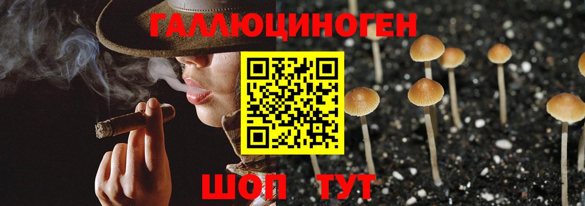 Галлюциногенные грибы MAGIC MUSHROOMS Северобайкальск